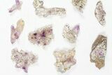 Lot: Veracruz Amethyst Clusters - Pieces #80628-3